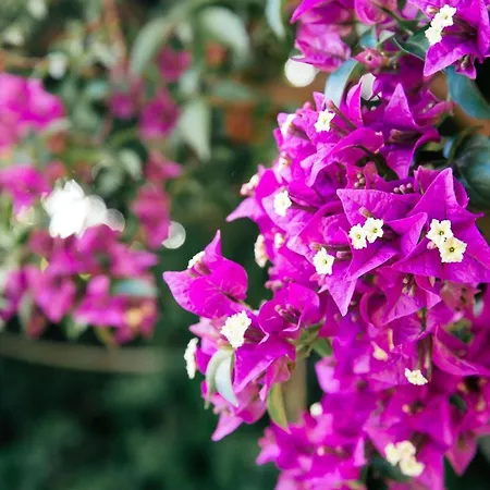 Apartman With Private Access To The Ágios Matthaíos