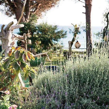 Apartman With Private Access To The *