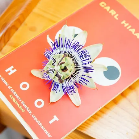 With Private Access To The Ágios Matthaíos